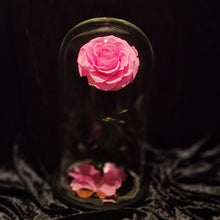 Load image into Gallery viewer, Everlasting Pink rose
