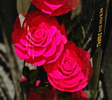 Load image into Gallery viewer, Dark Pink Trio Enchanted Roses
