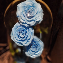 Load image into Gallery viewer, Sky Blue Trio Enchanted Roses
