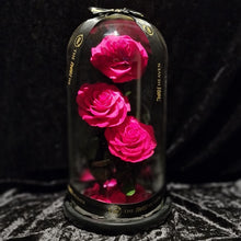 Load image into Gallery viewer, Dark Pink Trio Enchanted Roses
