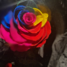 Load image into Gallery viewer, Rainbow Single Enchanted Rose
