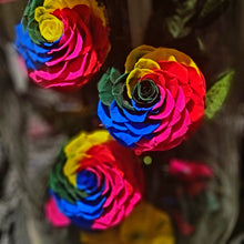 Load image into Gallery viewer, Rainbow Grand Enchanted Roses
